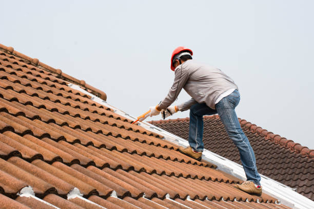 Best Chimney Flashing Repair  in San Bruno, CA