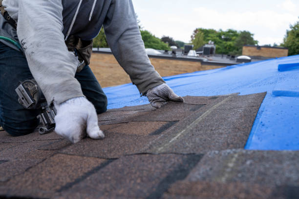 Professional  Roofing repair and installation in San Bruno, CA